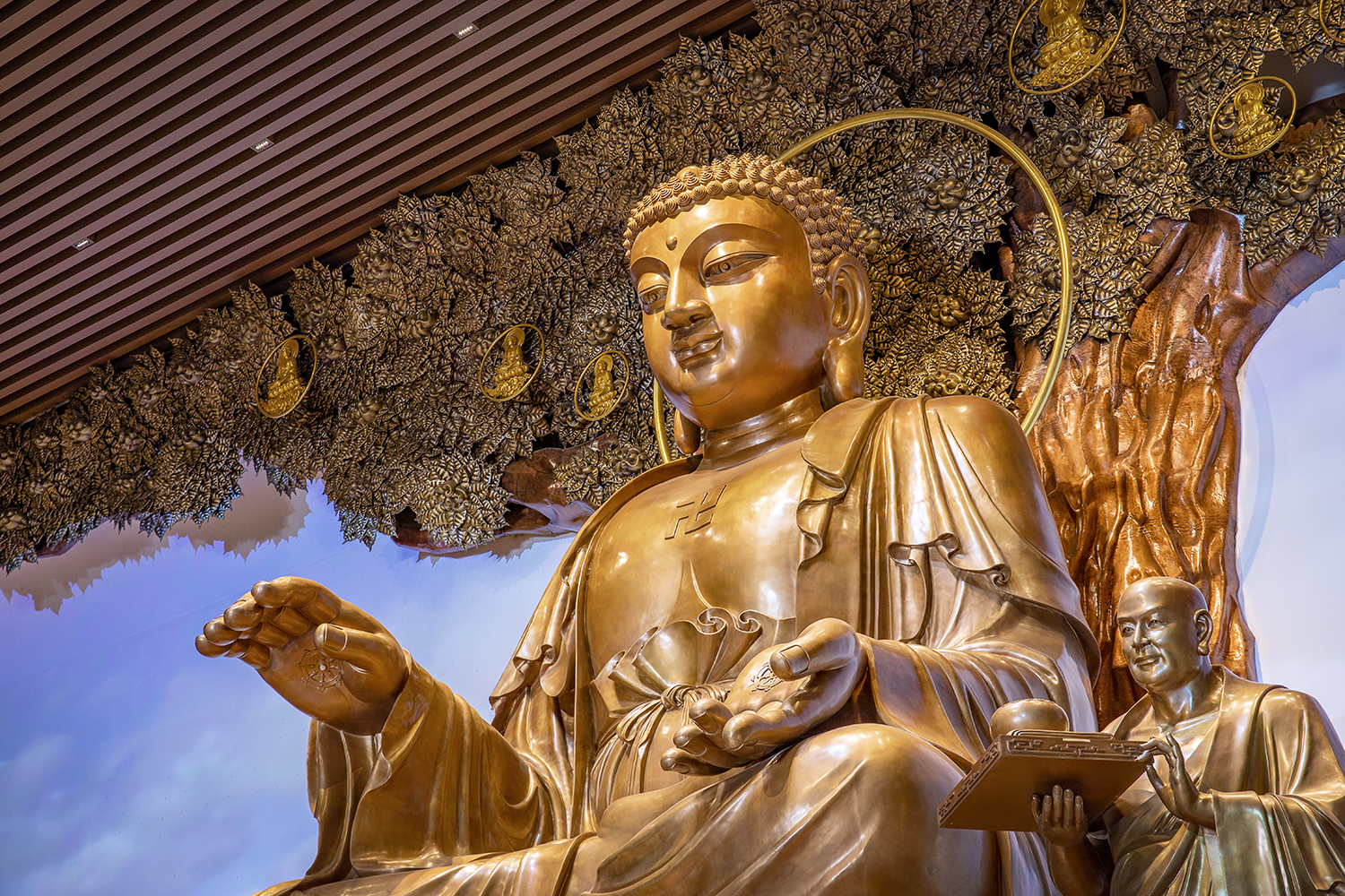 威客电竞(vkgame)-为竞技而生