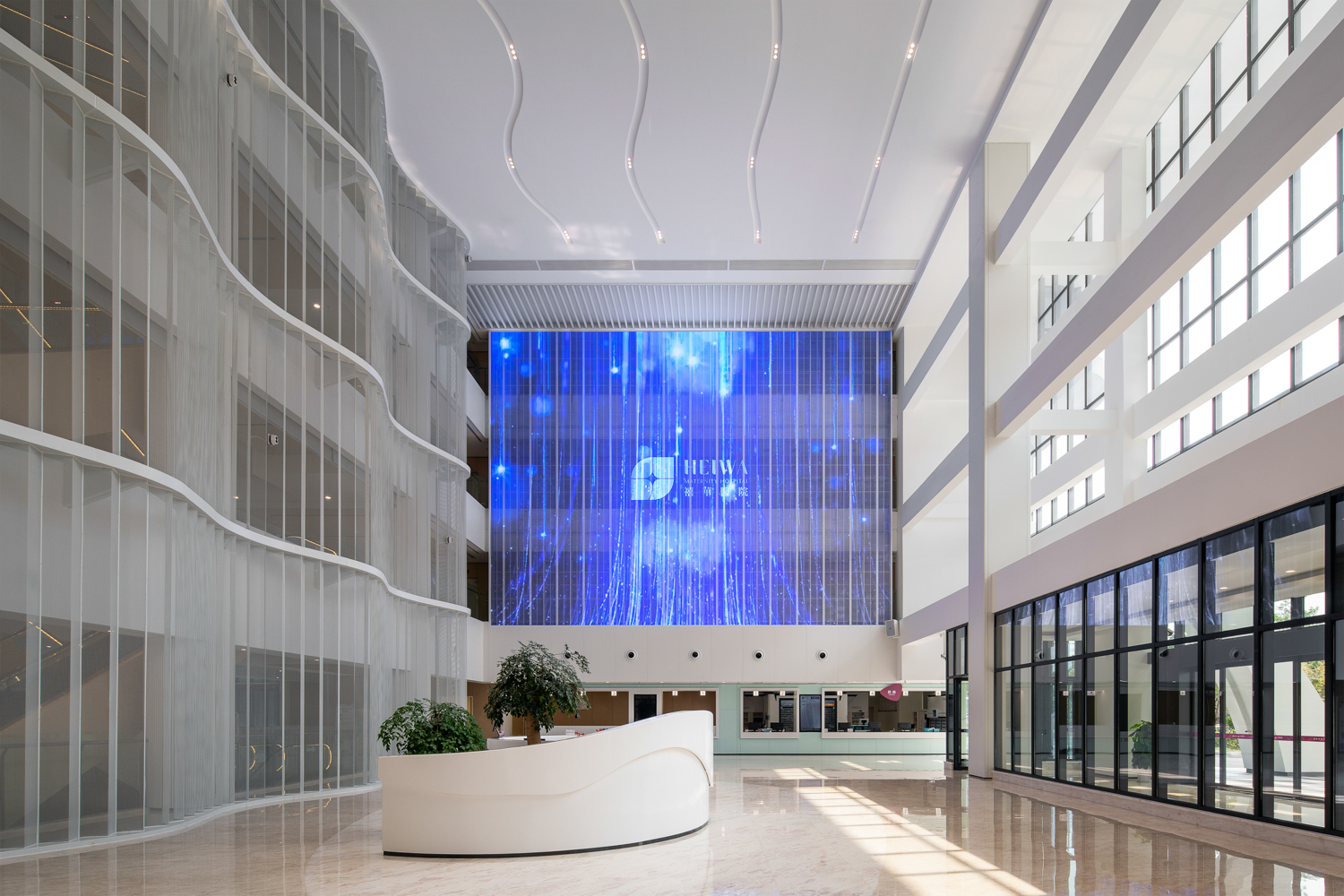 威客电竞(vkgame)-为竞技而生