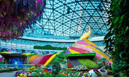 威客电竞(vkgame)-为竞技而生