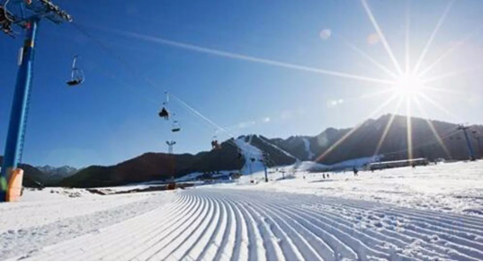 威客电竞(vkgame)-为竞技而生