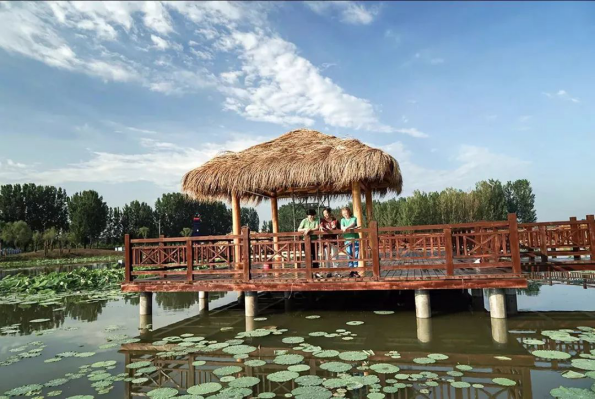 威客电竞(vkgame)-为竞技而生