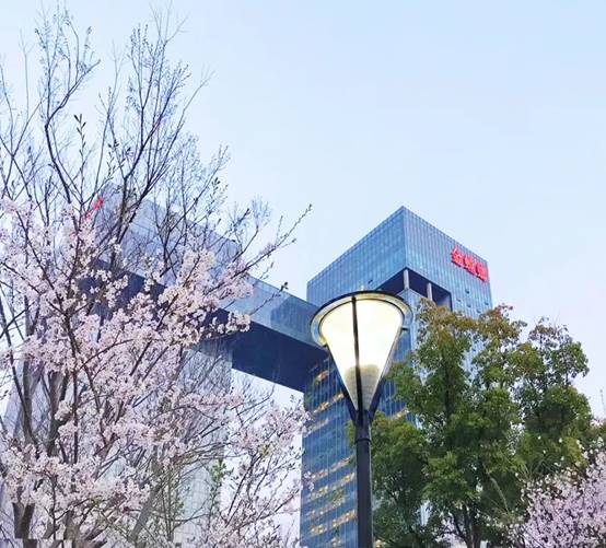 威客电竞(vkgame)-为竞技而生