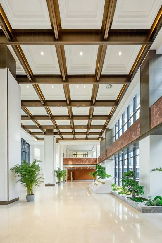 威客电竞(vkgame)-为竞技而生