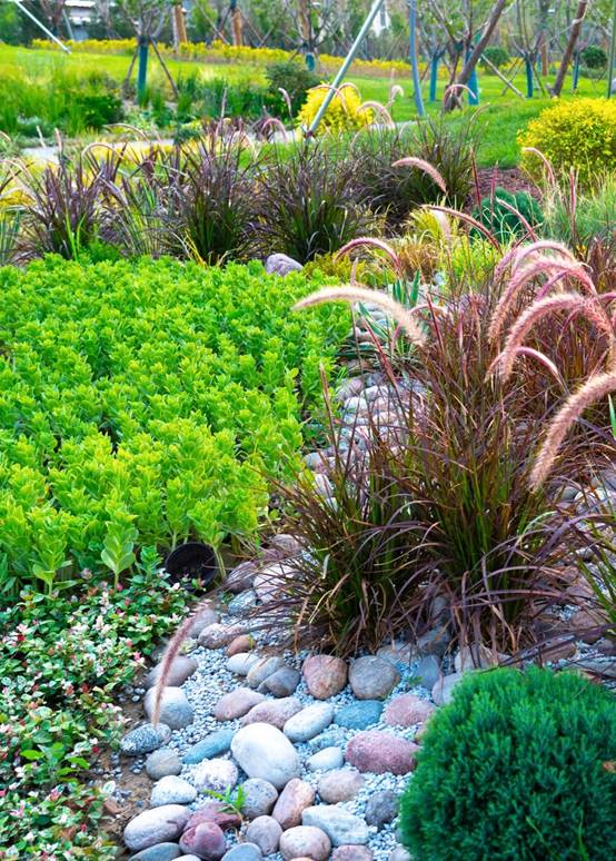 威客电竞(vkgame)-为竞技而生