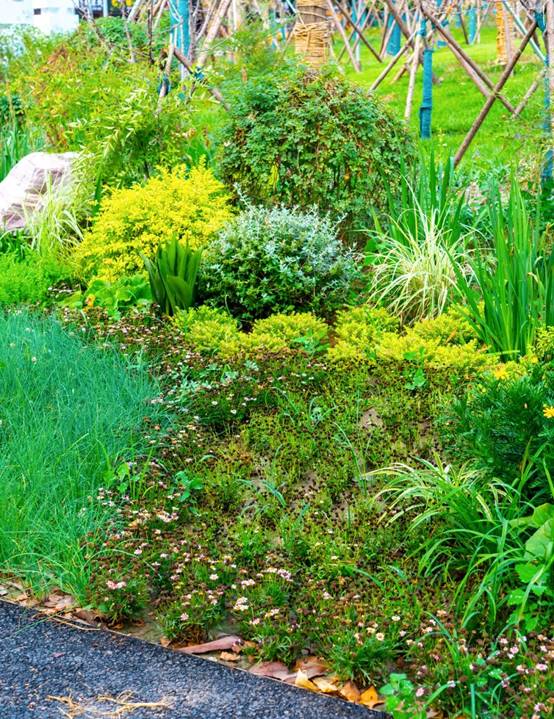 威客电竞(vkgame)-为竞技而生